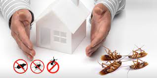 pest control Hyderabad