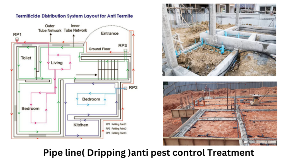 Paipe line( Dripping )anti pest control Treatment